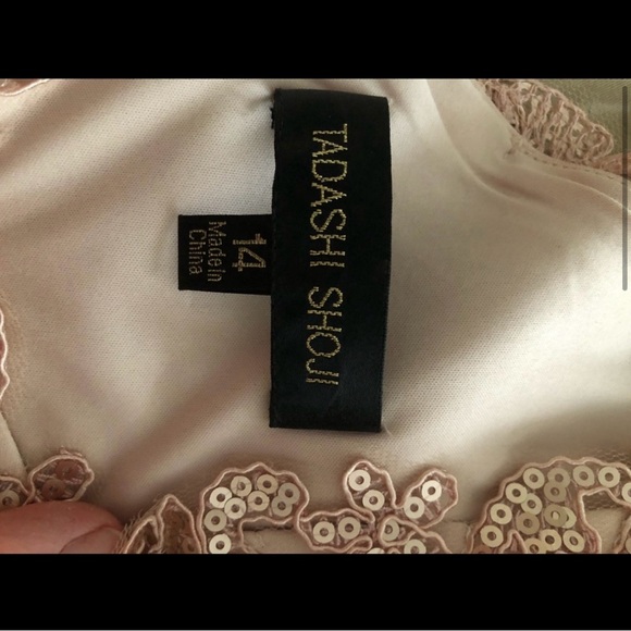 Tadashi Shoji Intricate Pink Lace, Chiffon & Tulle Ballgown - Picture 4 of 5